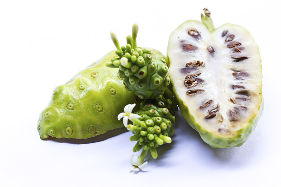 local beauty farmers noni