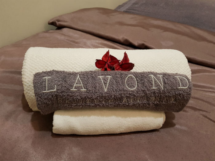 Lavond Review 10 Min Facial 1