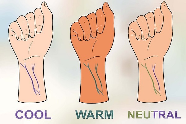 Warm vs Cool Hair Colors for Blue Veins - wide 2