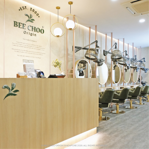 Best Scalp Treatments Singapore Bee Choo Origin