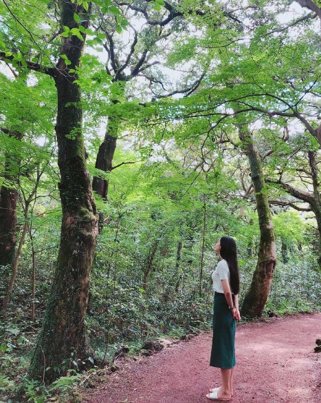 bijarim forest photo source instagram