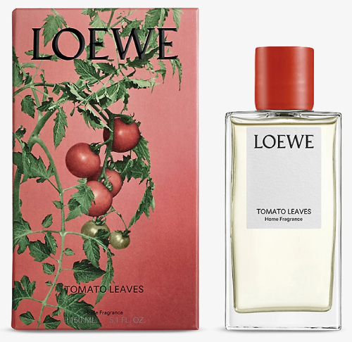 tomato fragrance