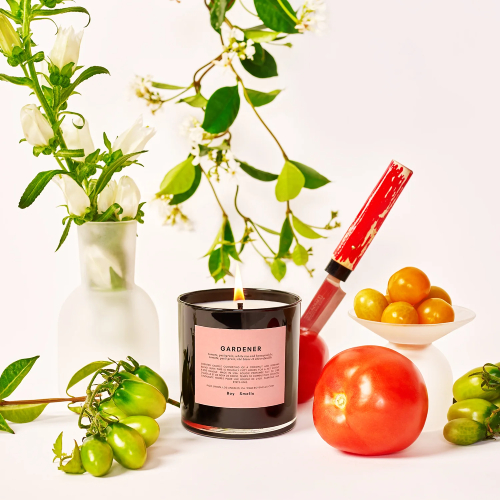 tomato fragrance