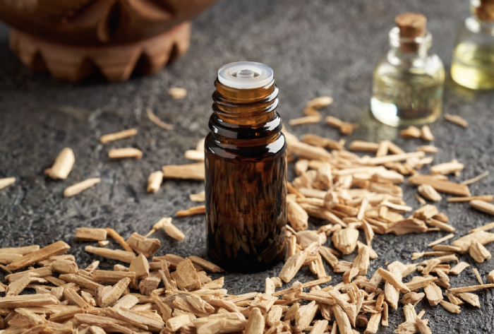 Career and Life Goals