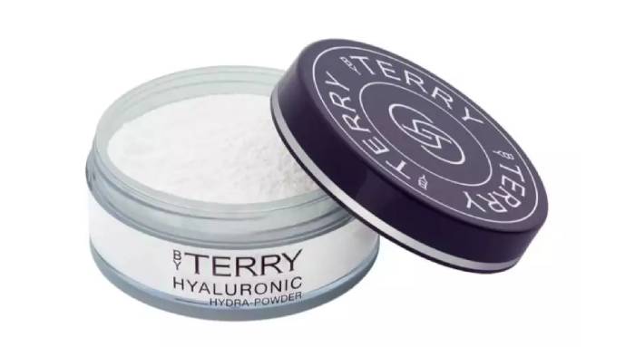 best setting powders by terry