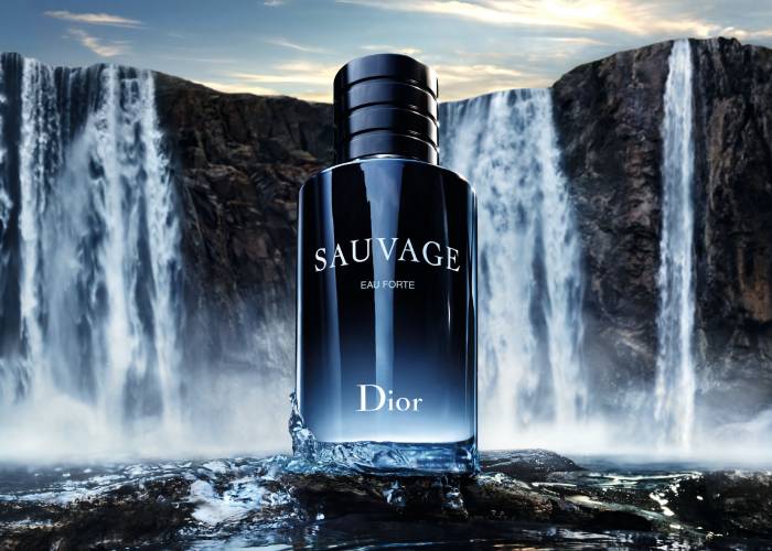 oct shopping guide 2024 dior sauvage