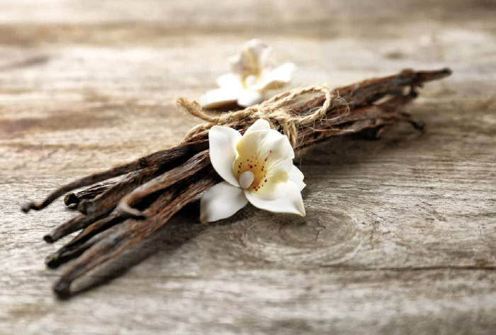 witchy perfumes Wealth and Finance