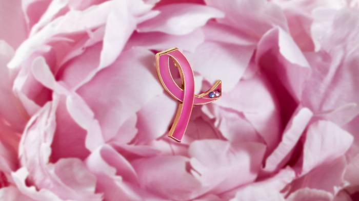 estee lauder pink ribbon pink