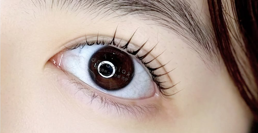 dreamlash 2