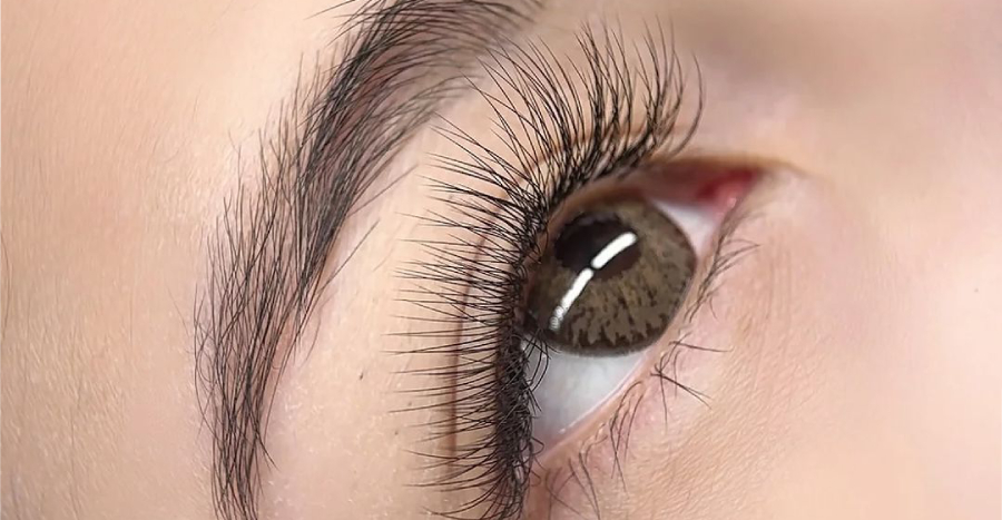 dreamlash 3
