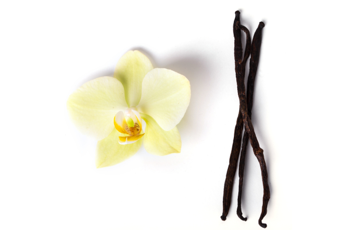 vanilla scents