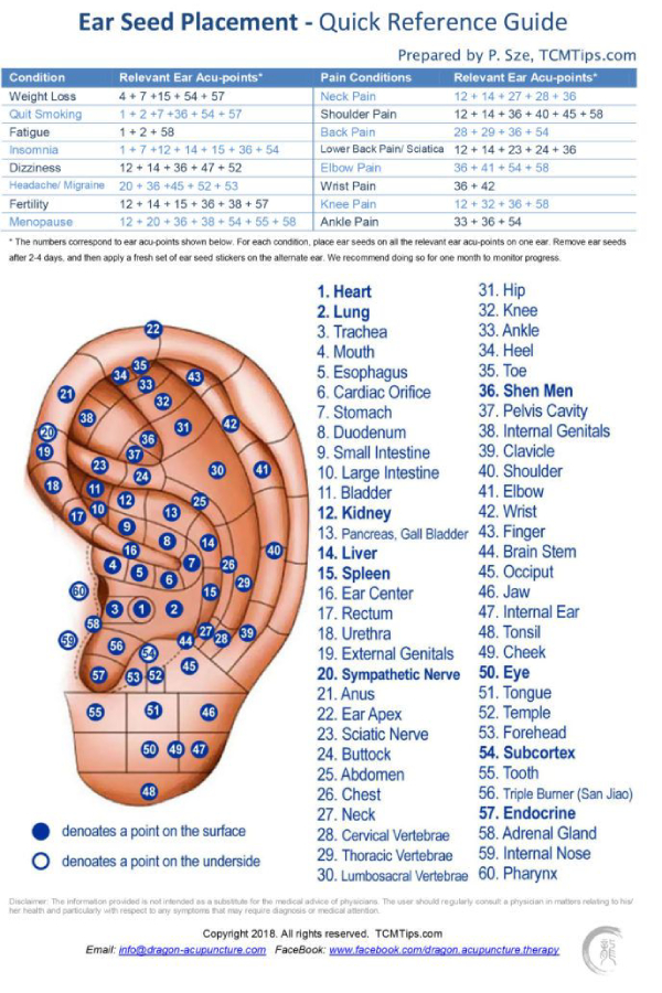 ear seeds placement
