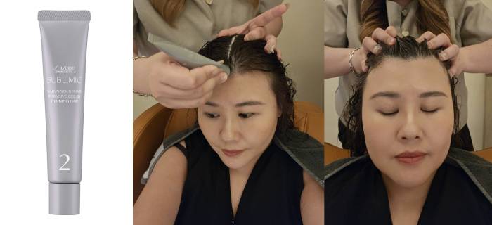 shiseido professional Intensive Gel AD