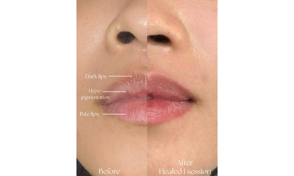 3 best lip embroidery monostudio