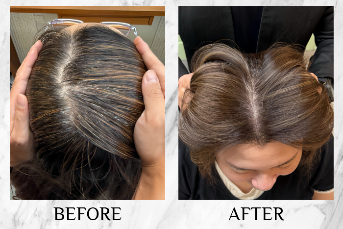 chez vous private space grey hair blending samantha review