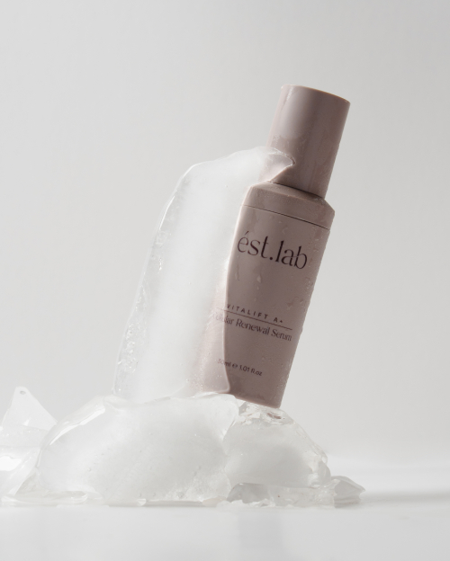 shopping guide feb 2026 est.lab