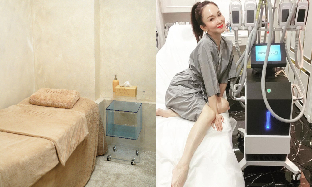 Mode Aesthetics - fat freeze - fanna.