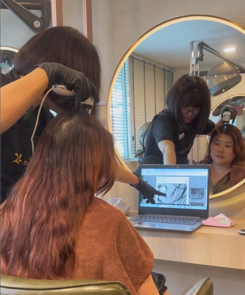 bee choo consultation 