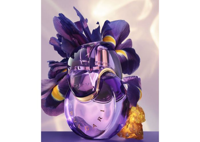 nov shopping guide